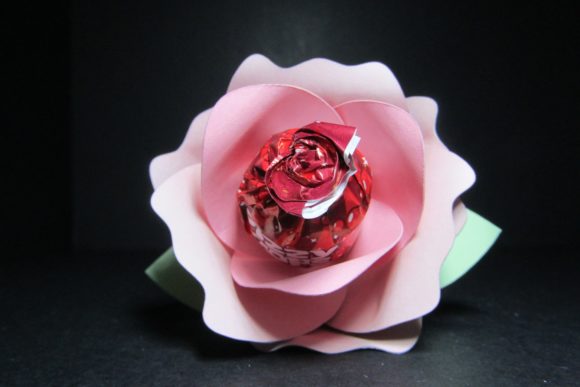 3D Lollipop Rose: A Crafts and Graphics Review for Real Branding